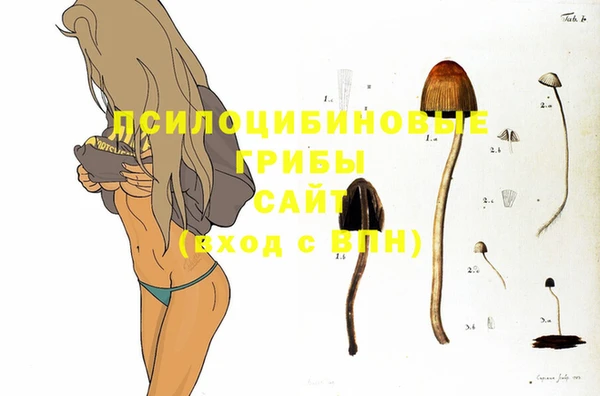 синтетический гашиш Гусиноозёрск